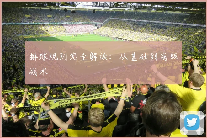 排球规则完全解读：从基础到高级战术