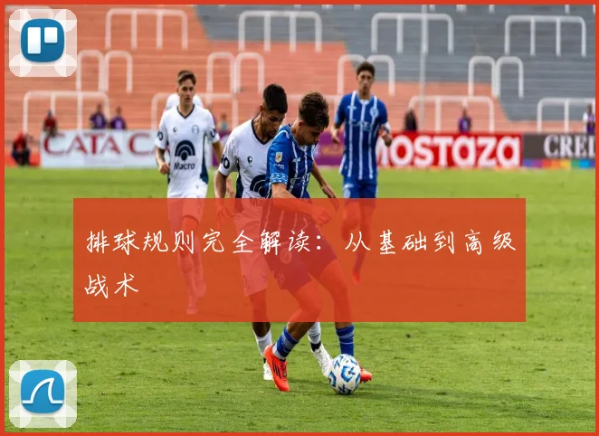 排球规则完全解读:从基础到高级战术