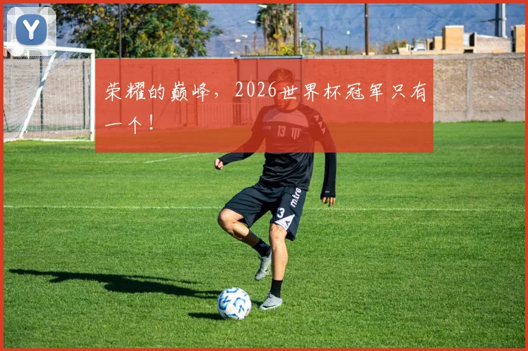 荣耀的巅峰，2026世界杯冠军只有一个！